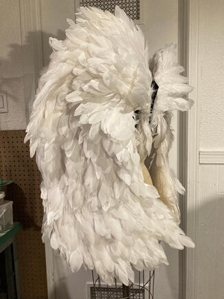 Angel Wings Side